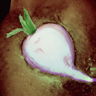 frozen radish